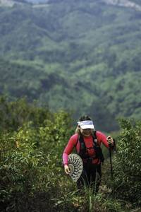 BIB: 
                            <button type="button" onclick="openModal(24763679)" class="btn btn-primary btn-sm float-right btn-popup" data-toggle="modal" data-target=".modal-high-quality">
                        <i class="fas fa-shopping-cart"></i> Add to Cart
                    </button>
                                            <button type="button" onclick="isThisMe(24763679, true)" class="btn btn-success btn-sm float-right btn-popup btn-isme hidden" data-toggle="tooltip" data-placement="bottom" title="นี่คือรูปของคุณใช่ไหม คลิกที่นี่เพื่อเอาเข้าอัลบั้ม">
                        <i class="fas fa-plus"></i> Add to album
                    </button>
                    <button type="button" onclick="isThisMe(24763679, false)" class="btn btn-warning btn-sm float-right btn-popup btn-isnotme hidden">
                        <i class="fas fa-ban"></i> Remove from album
                    </button>